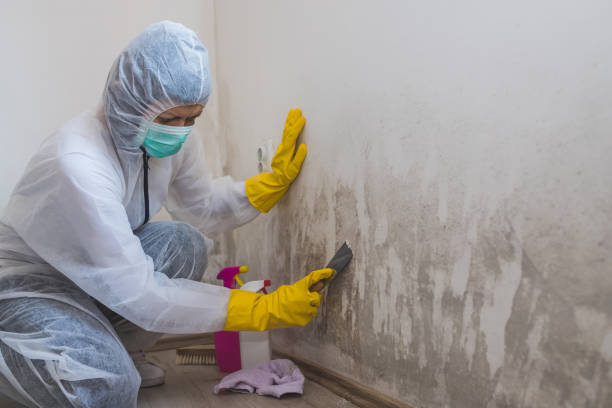 Crawl Space Mold Removal in Baltic, SD